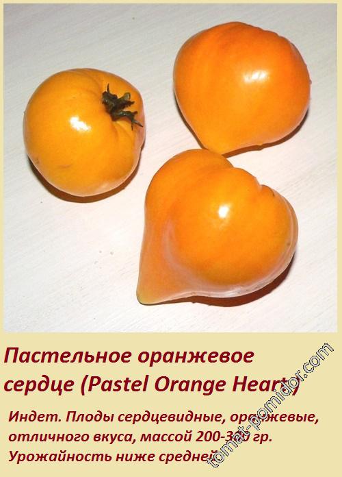 Пастельное оранжевое сердце (Pastel Orange Heart )