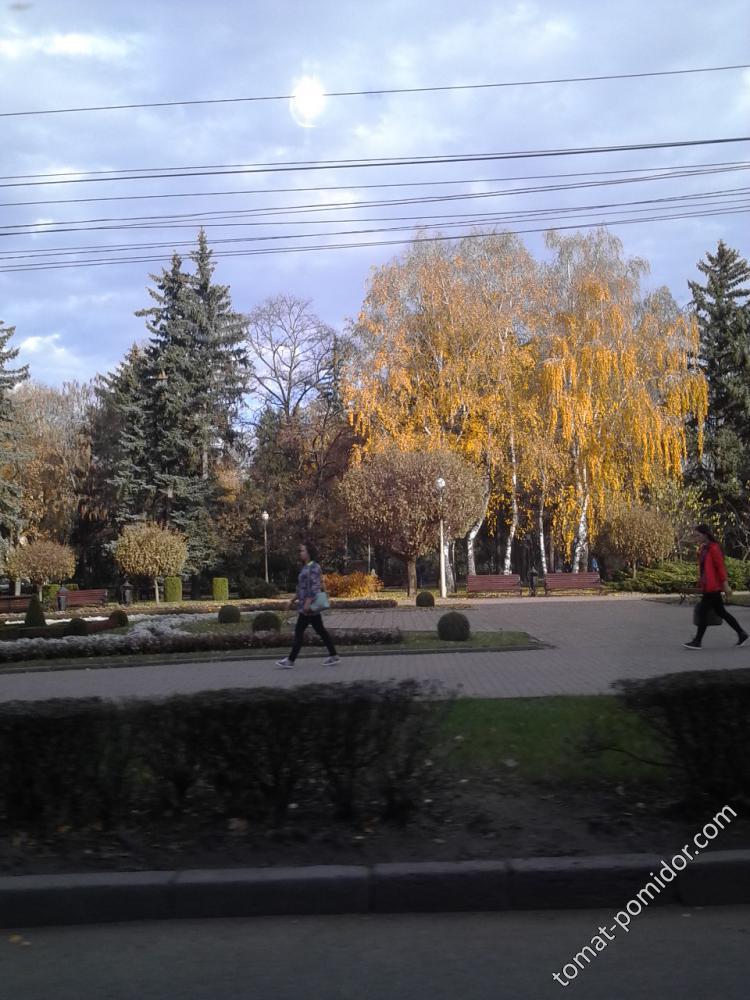Ставрополь, 10 ноября