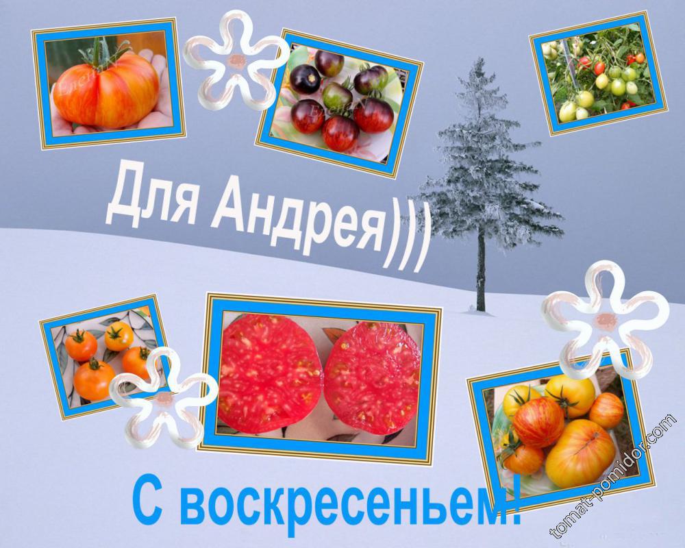 Для Андрея