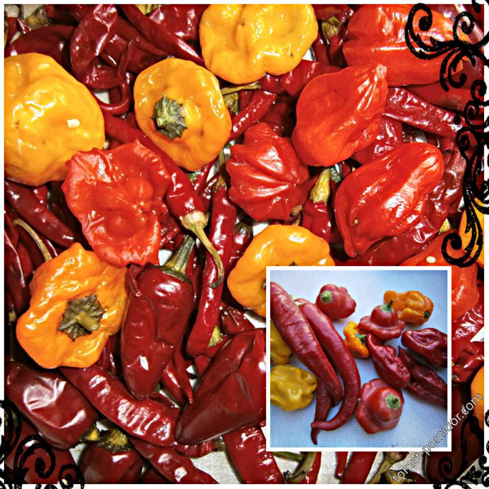 Hot Chilli Pepper mix