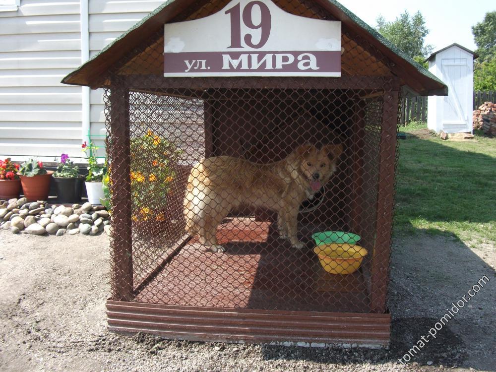 домик для собаки