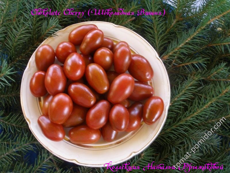 Шоколадная вишня (Chocolate Cherry)