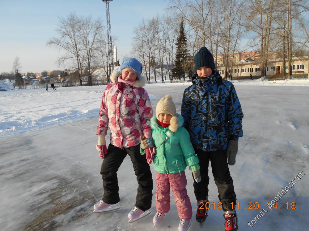 ноябрь 2016