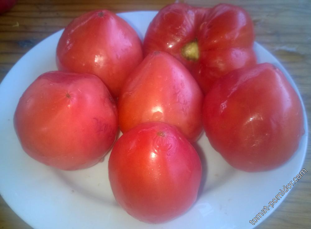 Upstate Oxheart Tomato