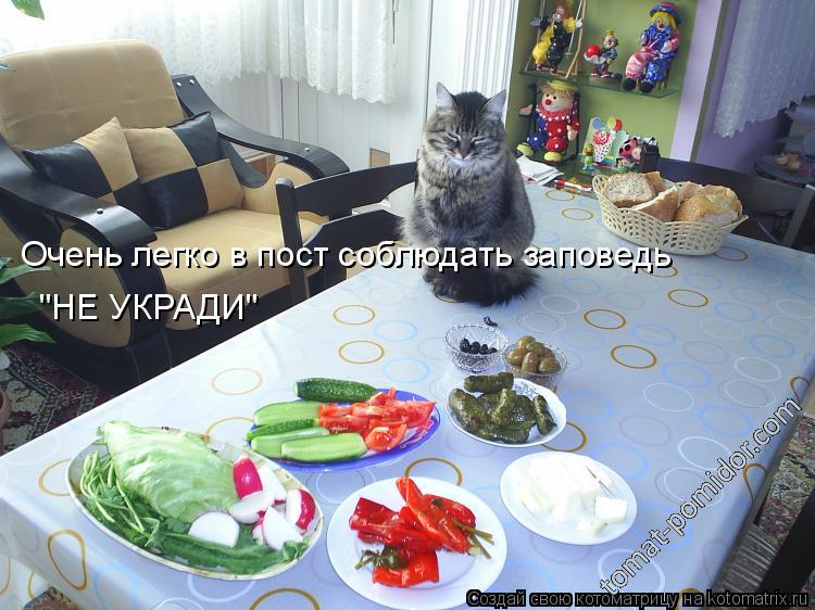 кот постник