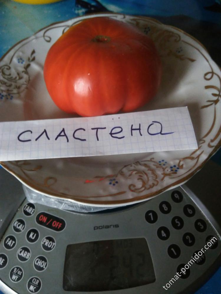 Сластёна