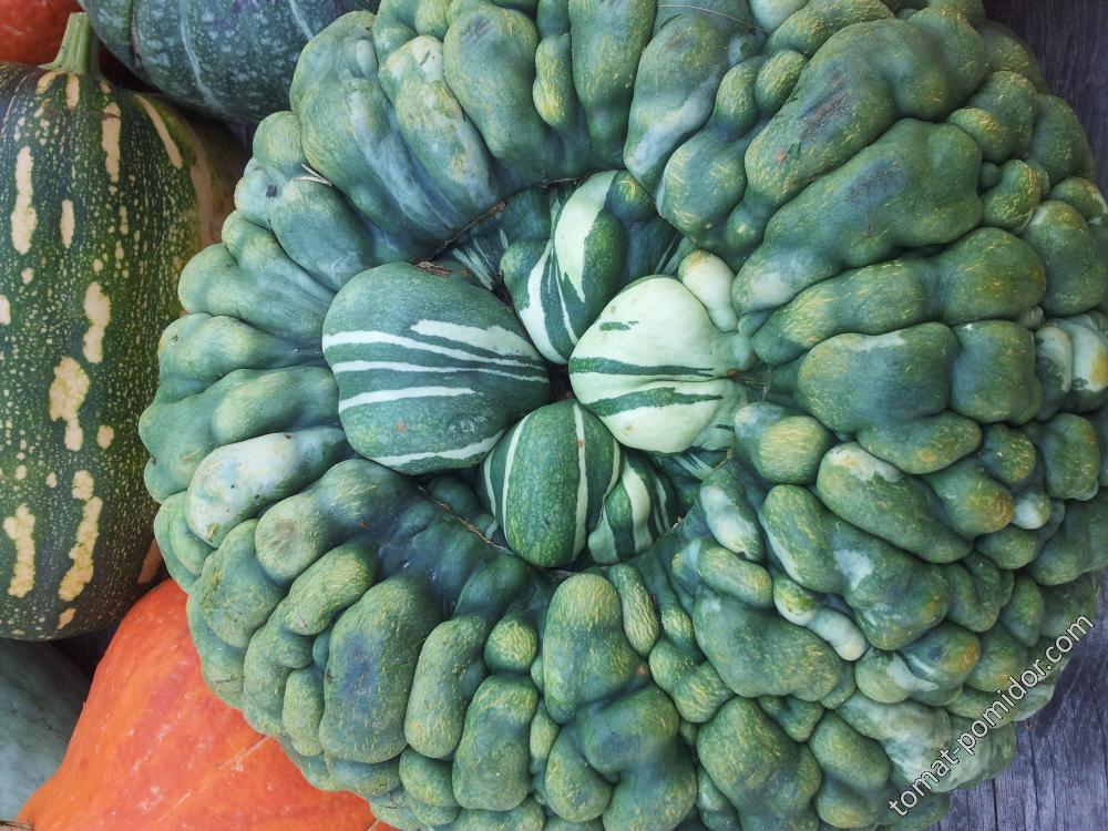 Марина