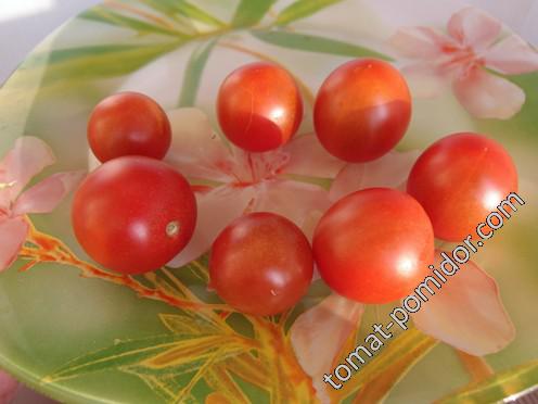 NOT Aker’s Plum (НЕ Акерс Плюм)  (НЕ Слива Акера)