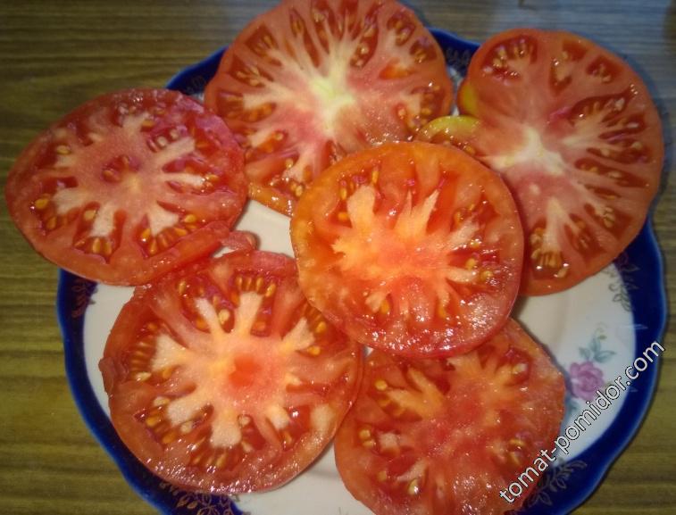 Дикая роза