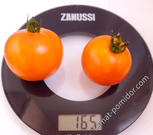 Orange Mandarin (Оранжевый Мандарин)