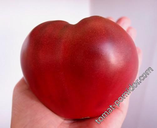 Reinhard's Purple Heart (Пурпурное сердце Райнхарда)