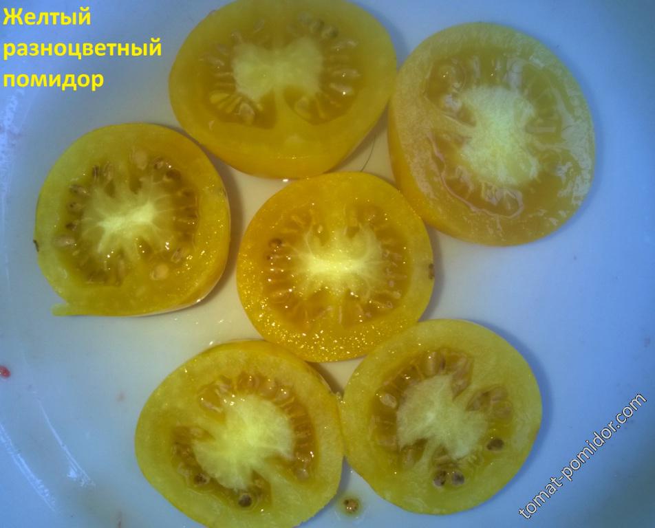 Желтый разноцветный помидор (Китай)