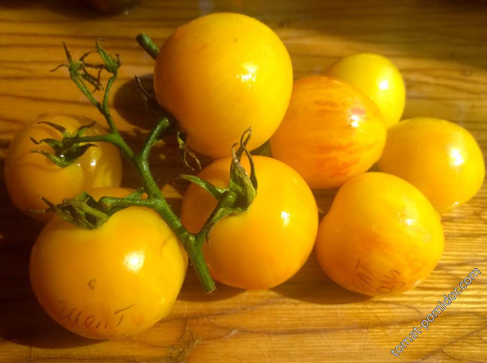 Желтый разноцветный помидор (Китай)