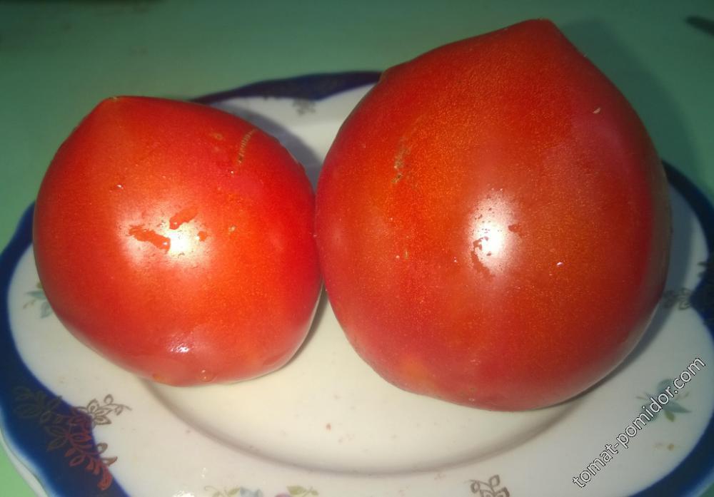 Линнея сердце