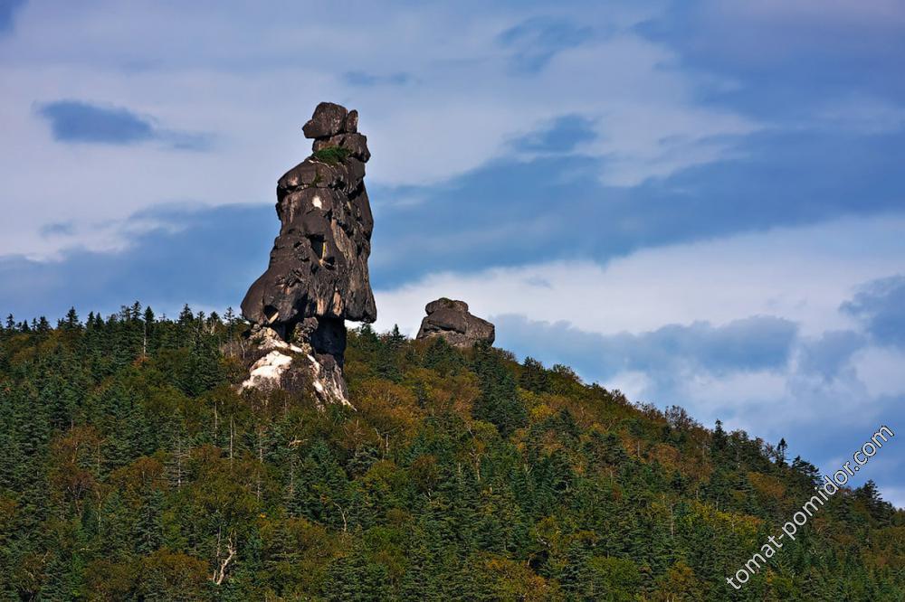 Охотник и собака