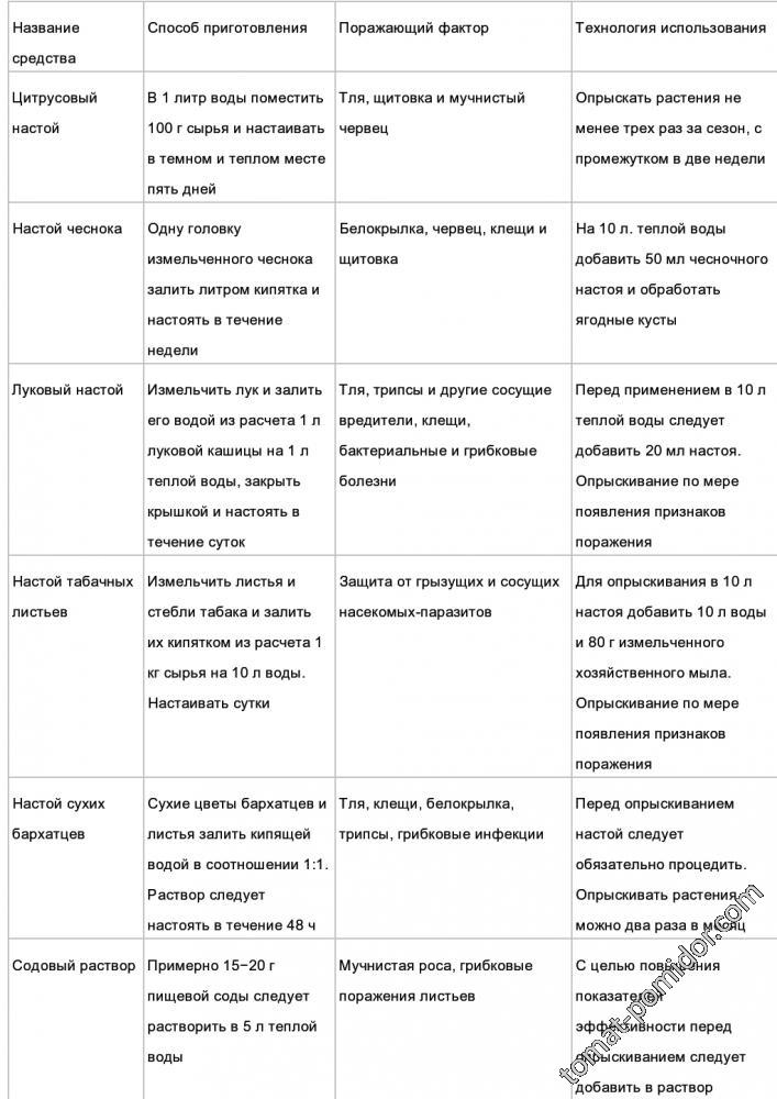 для черной смородины