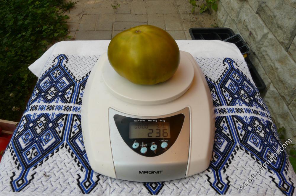 киви