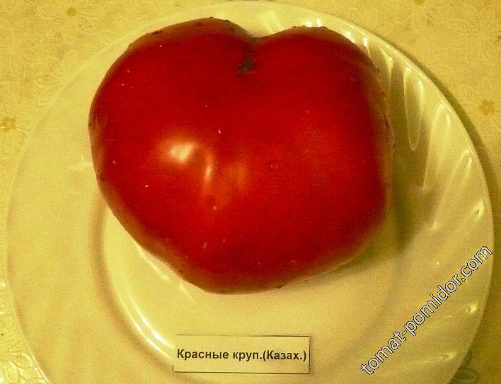 Красный Крупный(Казахстан)
