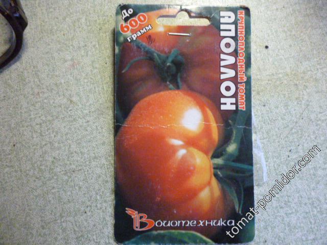 томат 2000 года