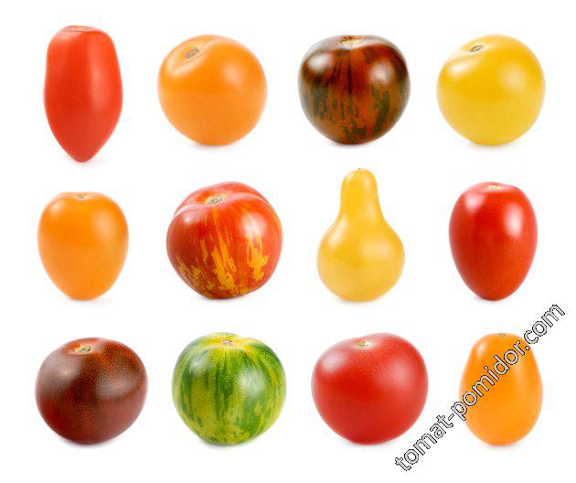Помидор tomāts pomodoro a tomato домат… и это всё о нём… - ВСЕ КРАСКИРАДУГИ - tomat-pomidor.com