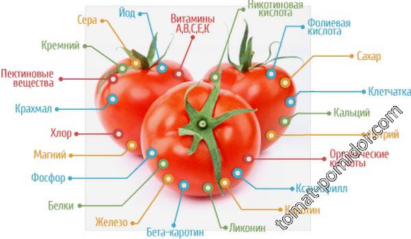 что входит в состав томатов