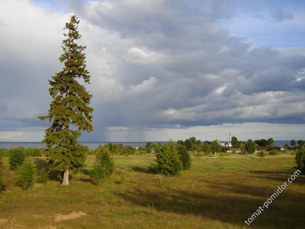 остров Верхний (Белов)