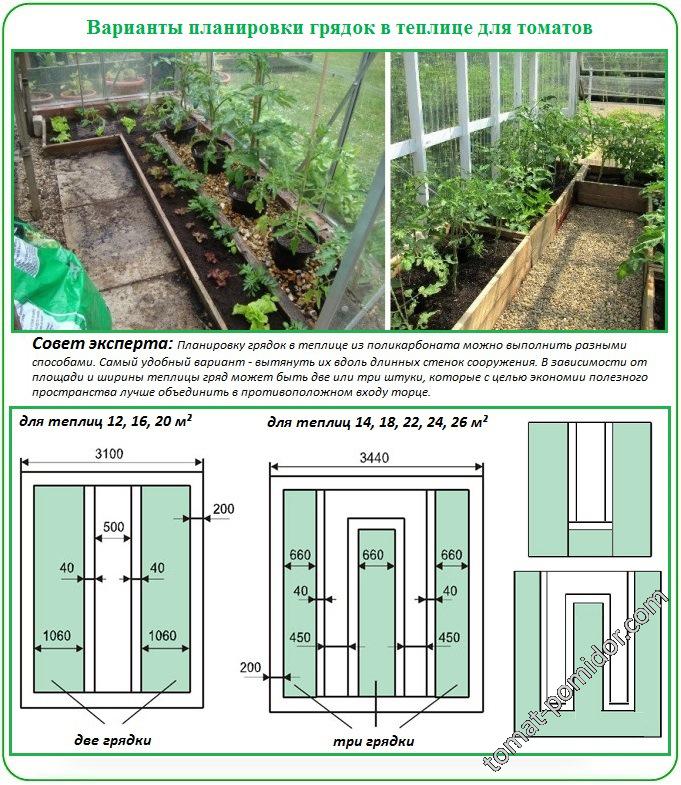 Расположение грядок в теплице