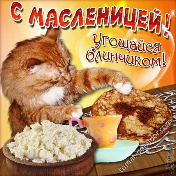 С Масленницей!