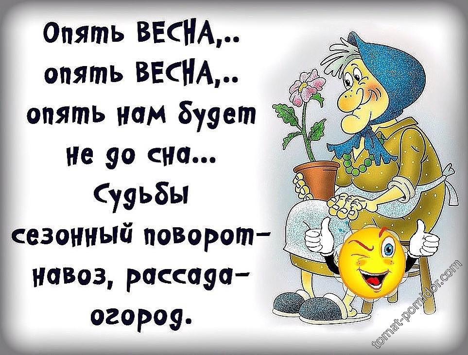 С ВЕСНОЙ