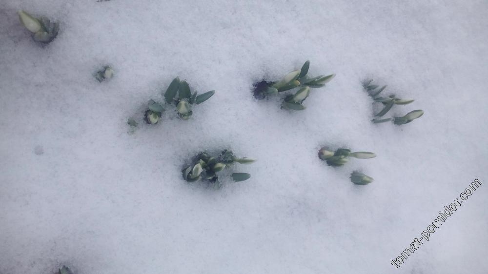 26.02.2017 Весна рядом :)