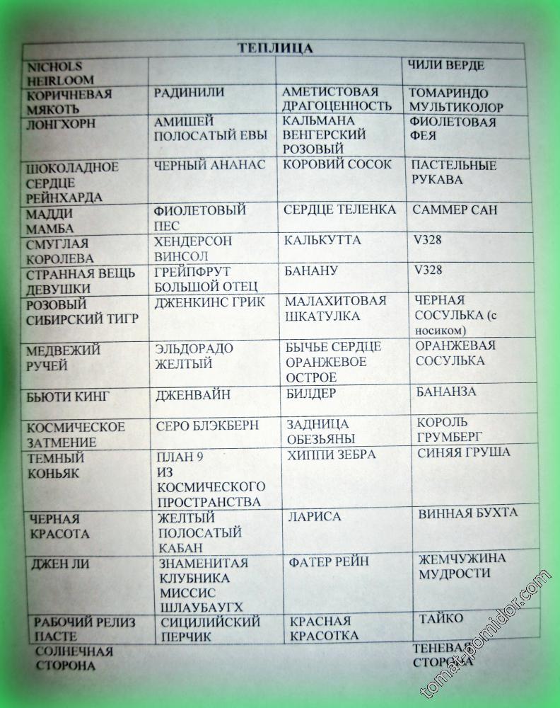 План посадки (теплица) предварит.