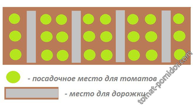 схема для посадки сдвоенными рядками по три штуки в рядке