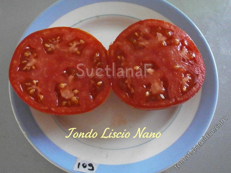 Tondo Liscio Nano