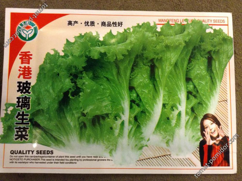 Наташин салат из Китая