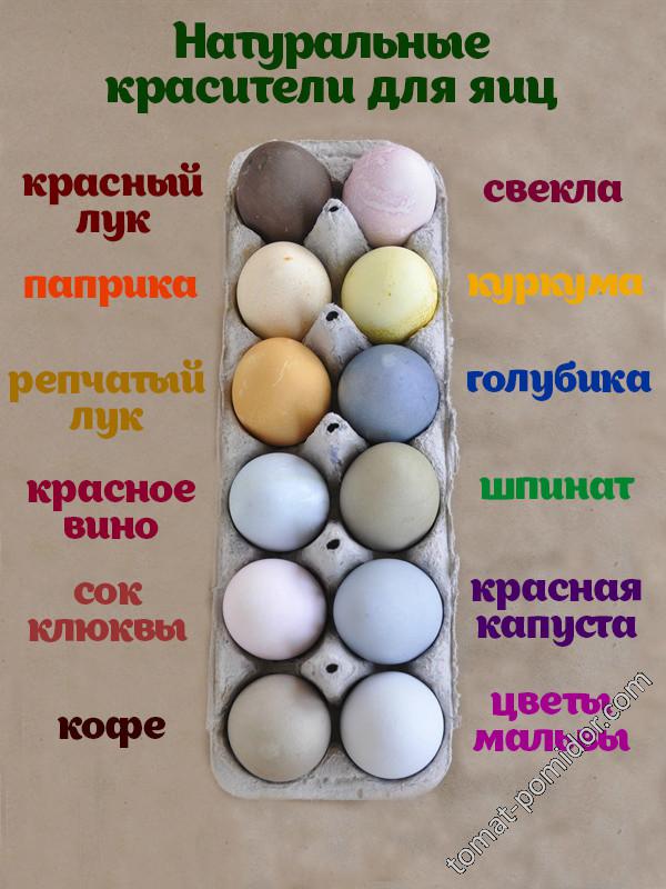 натуральные красители для яиц