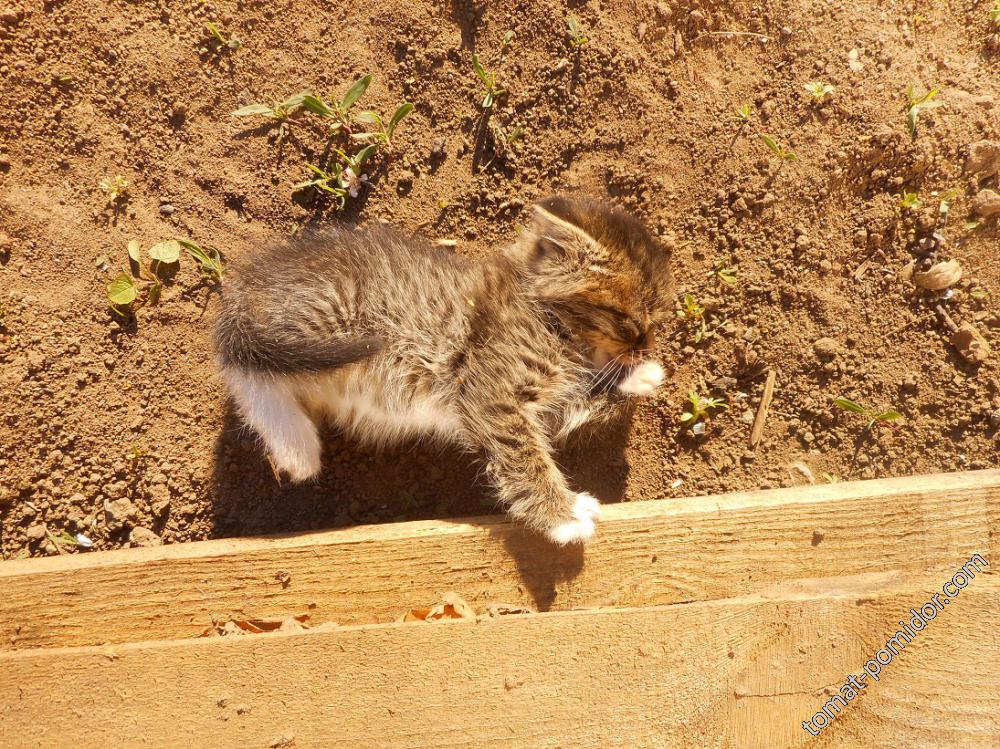 лежим на солнышке