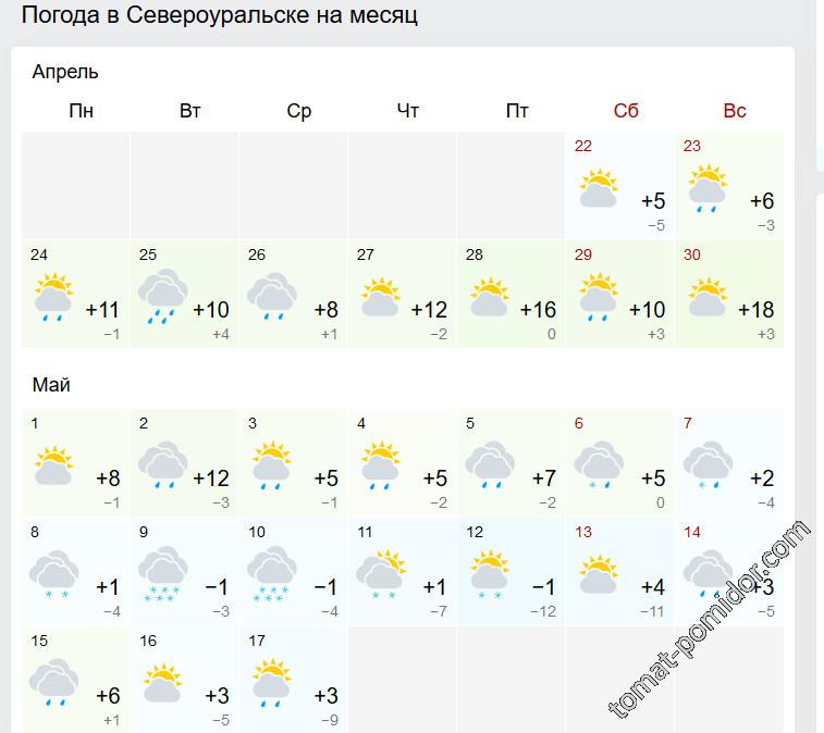 прогноз не радует. апрель- май 2017