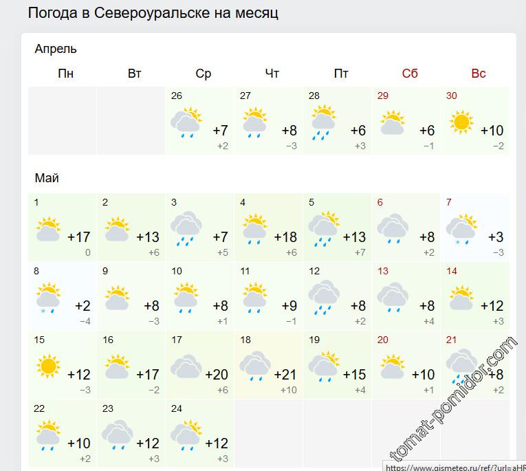 прогноз