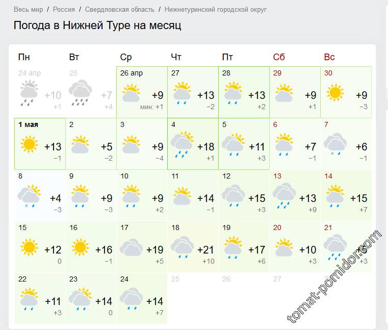 Погода в н новгороде сегодня