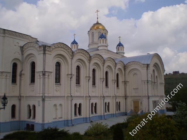 Храм.Усть-Медведецкиймонастырь