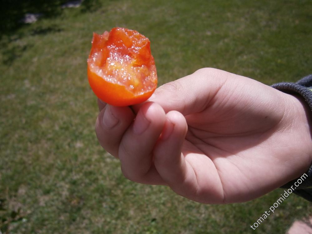 Ну оооочень вкусный томат,сладкий!