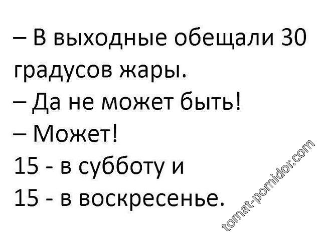 и о погоде...