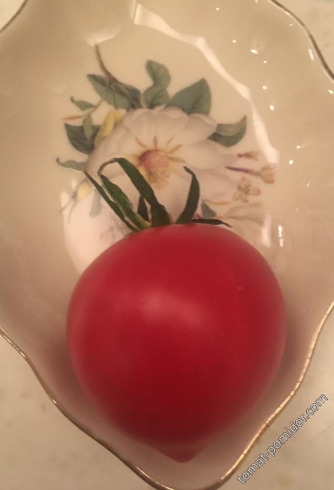 Первый помидор