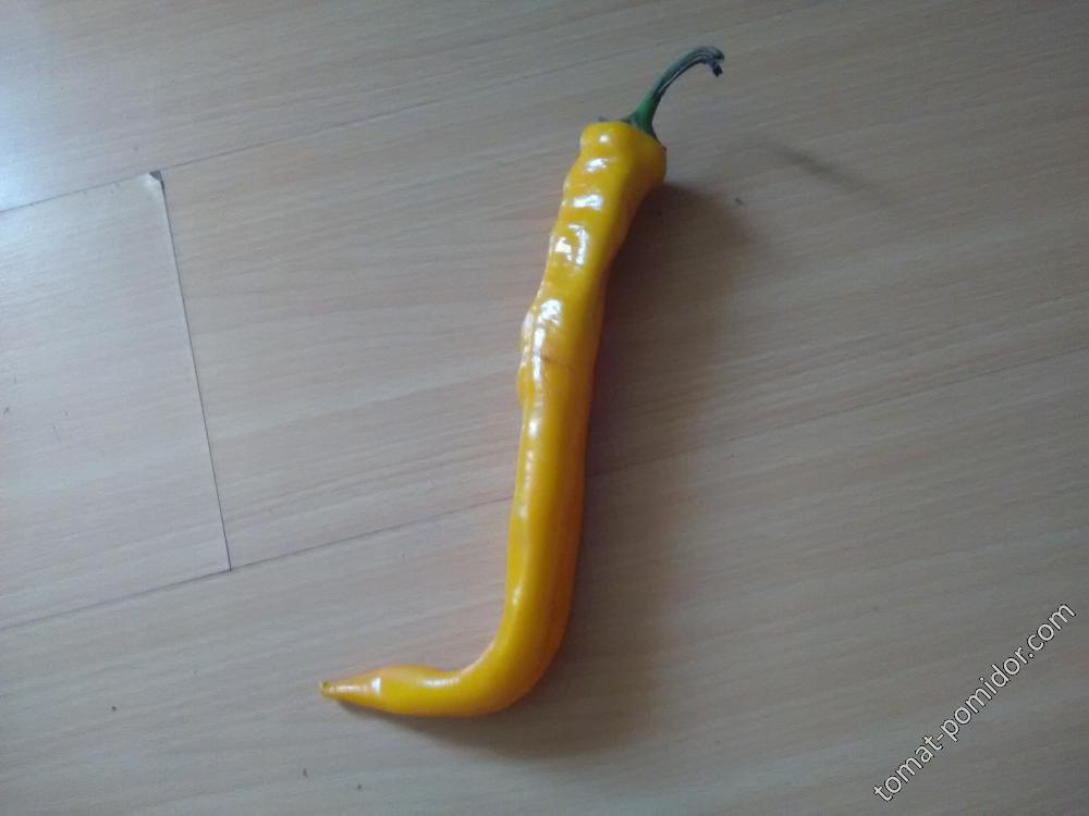 Перец полуострый