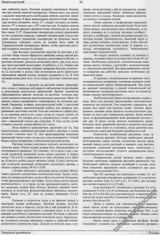 Вершинная гниль2