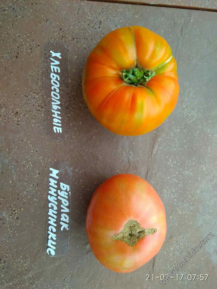 первые томаты 21.07.2017