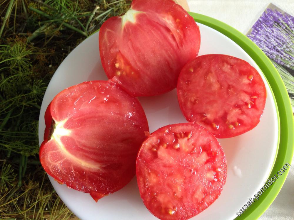 Ludmila&#039;s Red Plum