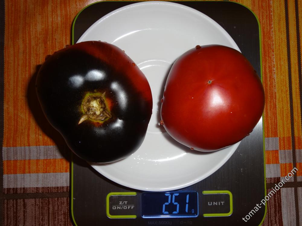 Индиго яблоко вес
