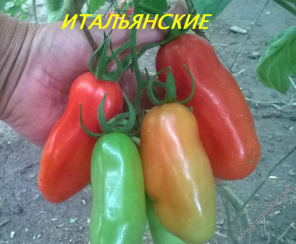 ИТАЛЬЯНСКИЕ