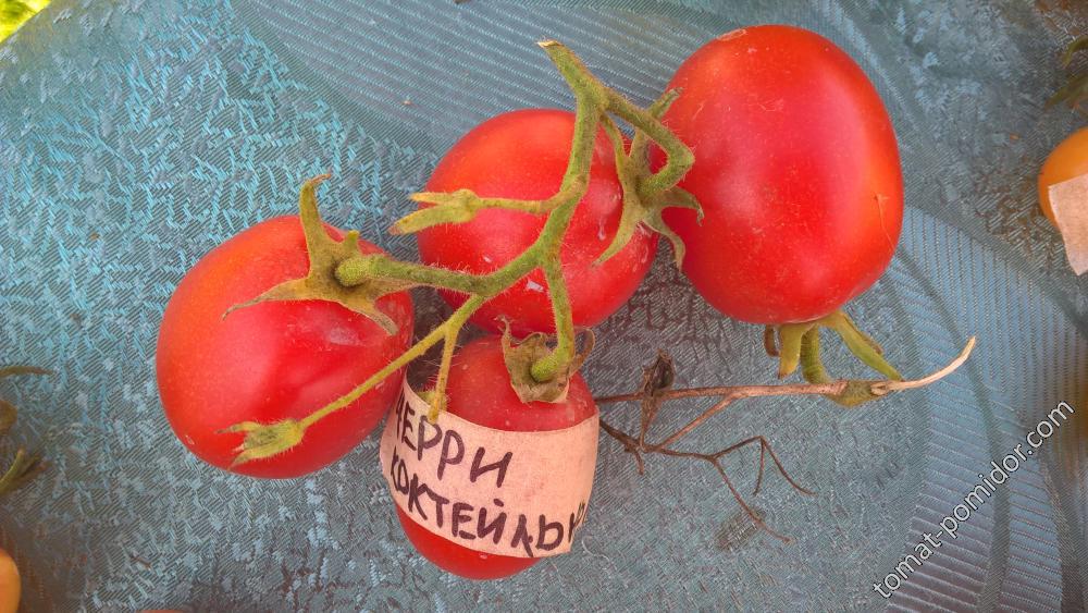 Черри коктейльные
